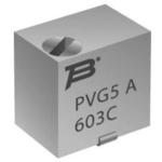 PVG5A103C03B00图片1