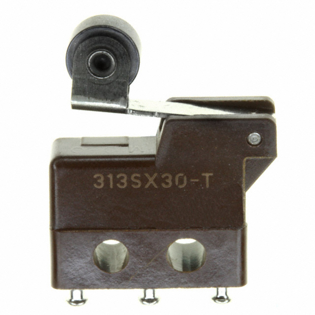 313SX30-T图片3