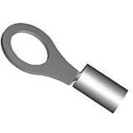 323069图片4