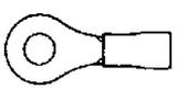 323171图片5