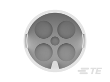 342376-1图片5