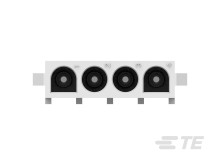 350793-1图片5