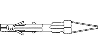 350838-1图片5