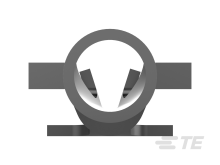 350925-1图片5