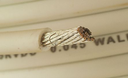 390845 WH005图片2