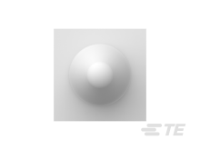 640255-1图片5