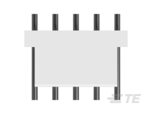 640388-5图片3