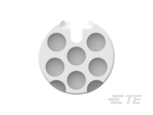 794436-1图片5