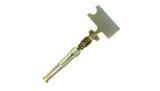745253-2图片5