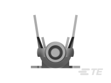 770904-1图片5