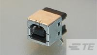 P4CE10F17C6N中文资料