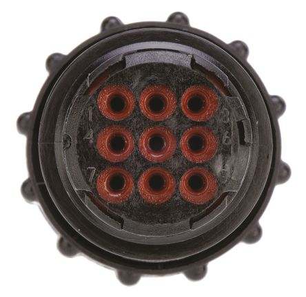 788157-2图片5