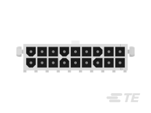 794069-1图片5