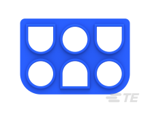 794275-1图片5