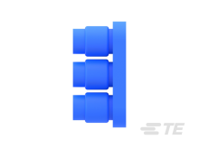 794278-1图片2