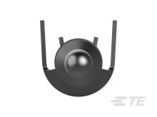 770255-1图片5