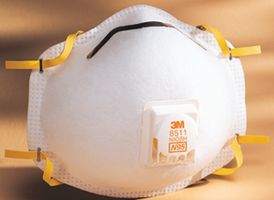 8511图片8