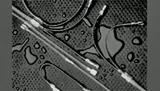 899003-000图片7