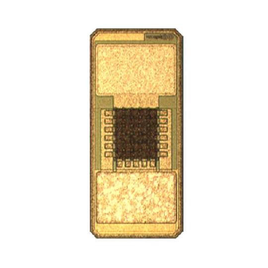 935131425610图片2