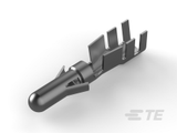 925713-2图片9