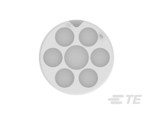 927395-1图片4
