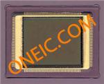 CYIL1SM1300AA-GDC图片3