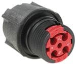 CL1P1101图片6