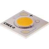 CXA1304-0000-000C00B20E7图片4