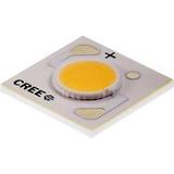 CXA1304-0000-000C00B235F图片4