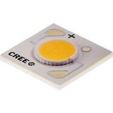 CXA1304-0000-000F00B230F图片2