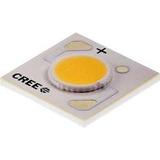 CXA1304-0000-000F0HB440F图片2