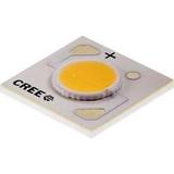 CXA1304-0000-000N00C20E3图片4