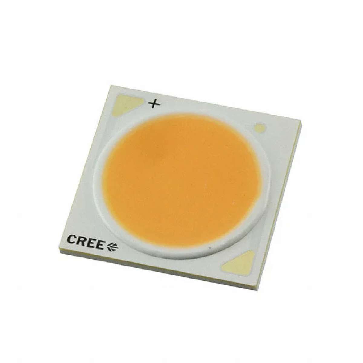 CXA1507-0000-000F0YF20E6图片3