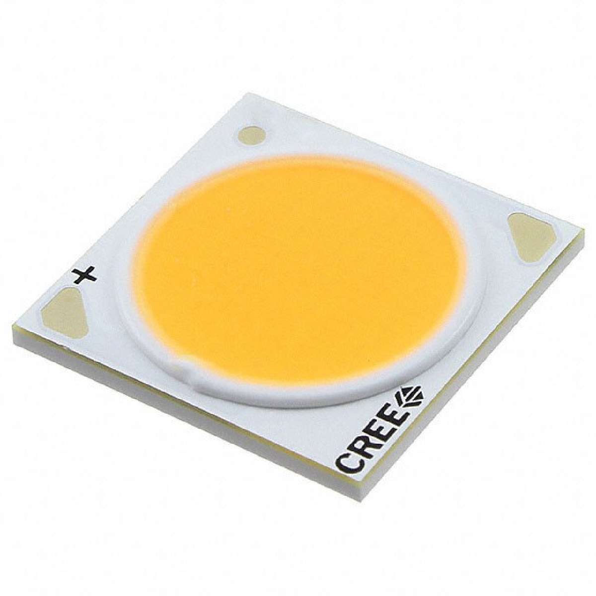 CXA1830-0000-000N0US250H图片3