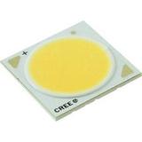 CXA2530-0000-000N00T20E8图片4