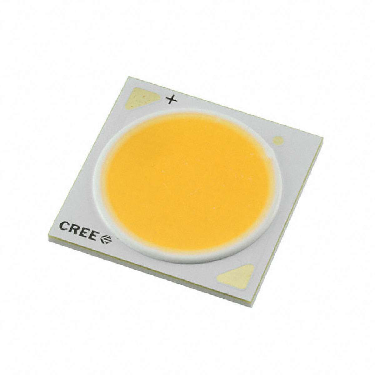 CXA2540-0000-000N00V40E7图片3