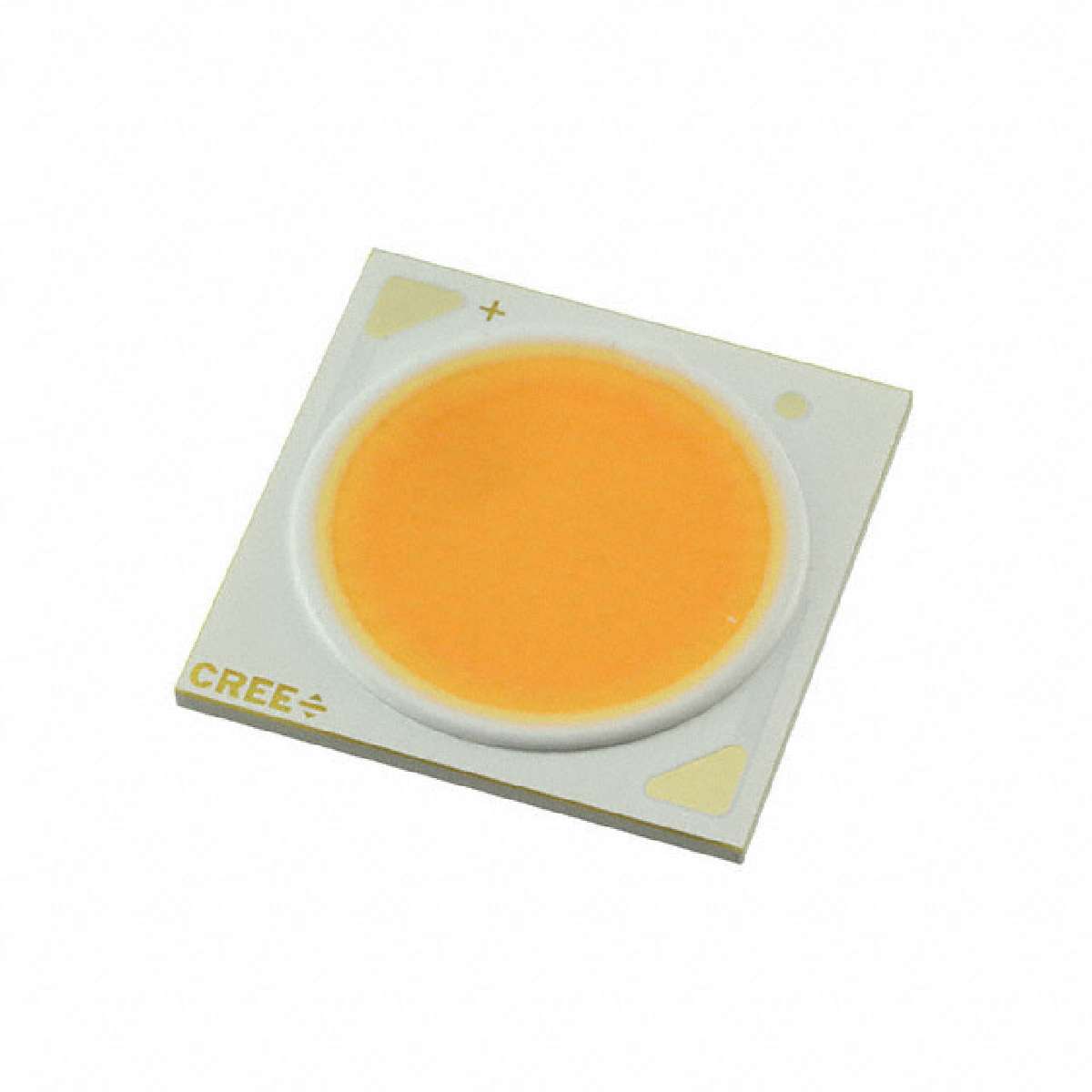 CXA2540-0000-000N0YU230H图片4