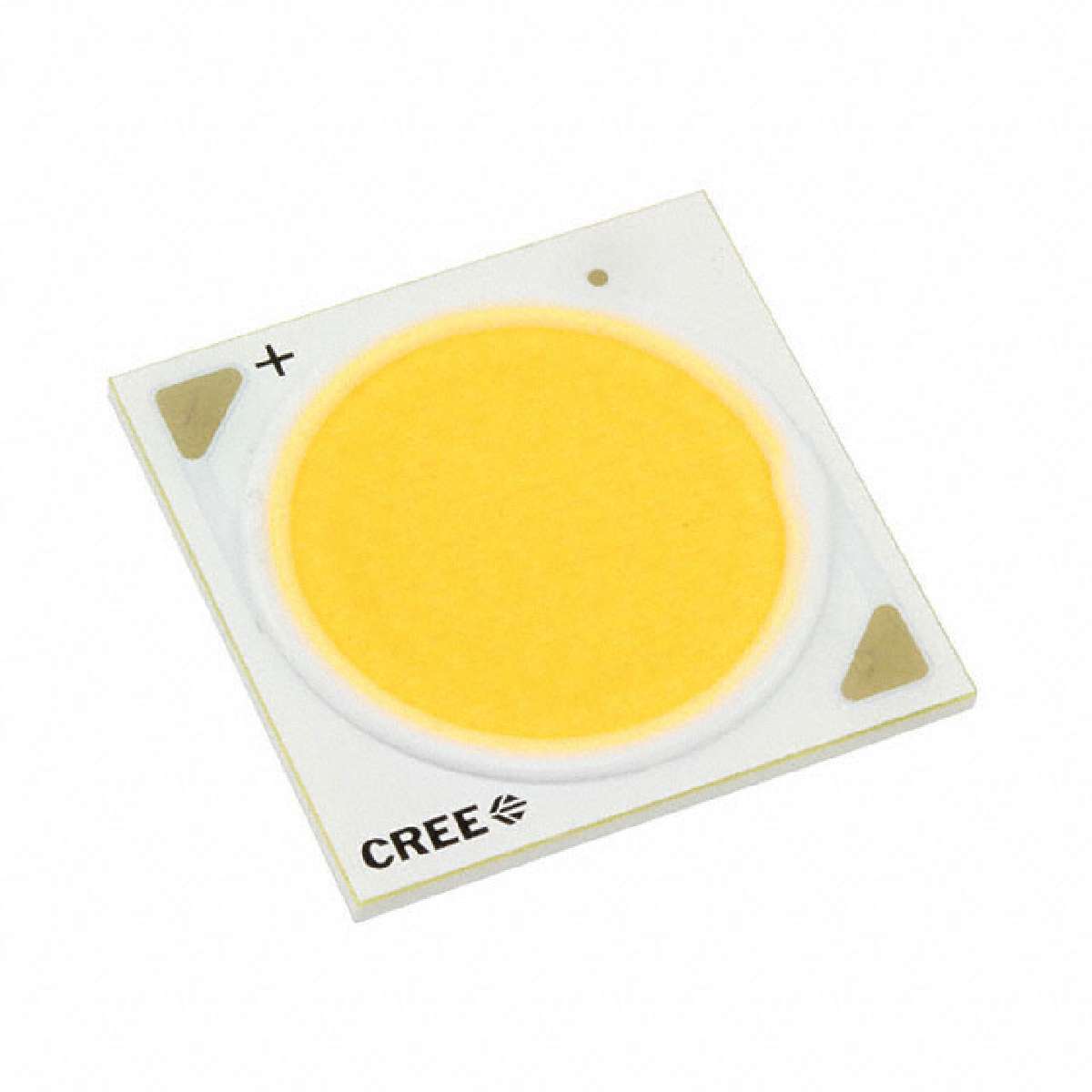 CXB3590-0000-000N0BDB40E图片4