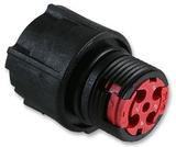 CL1F1201图片5