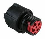 CL1F1201图片6