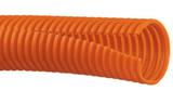 CLT125F-L3图片3