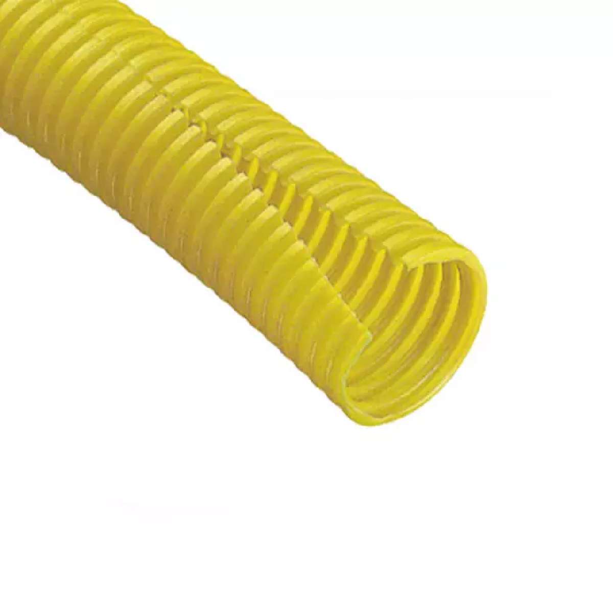 CLT125F-L4图片5