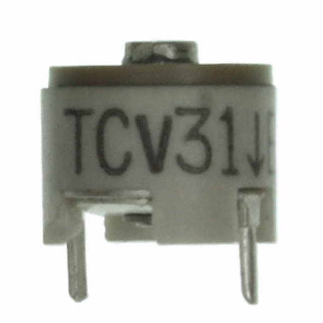 CV31E600图片3